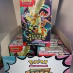 CASE BUNDLE DA 6 BUSTINE ASCESA EROICA